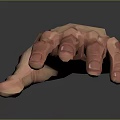 Realistic 3D Human Hand Model With Open Palm Detailed Texture And Reflection